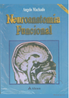 Neuroanatomia_Funcional_-_Angelo_Machado.pdf